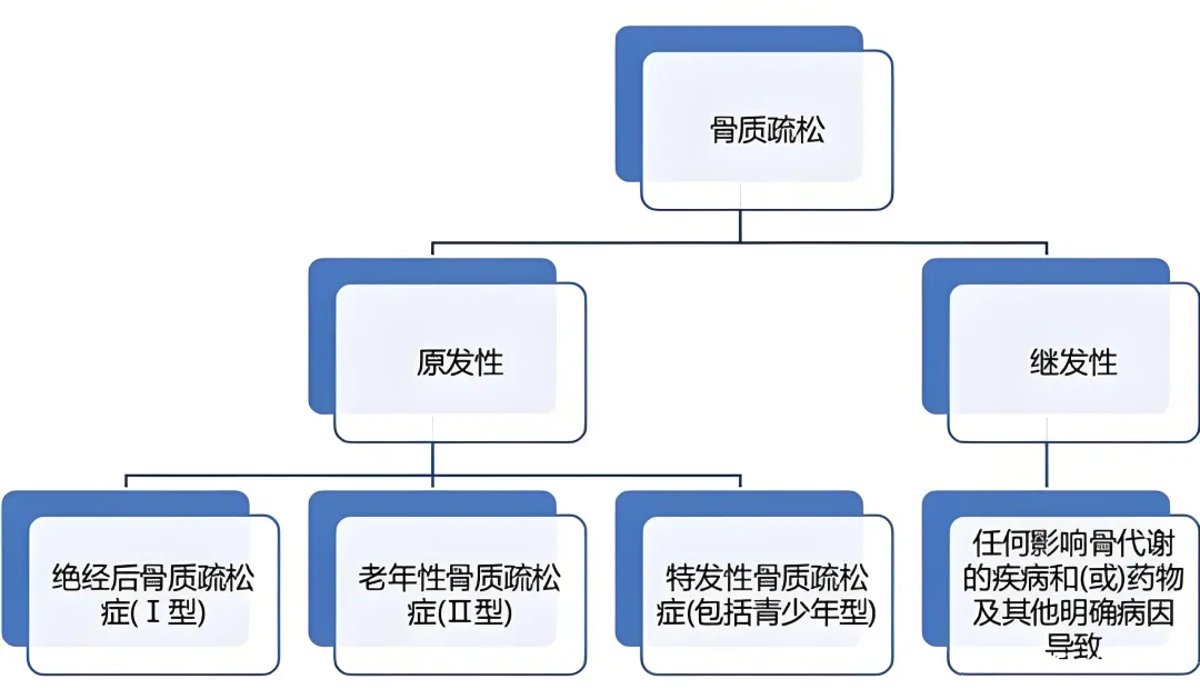 骨質(zhì)疏松分類(lèi).png